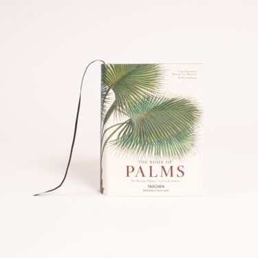 The Book of Palms Coffee Table Book