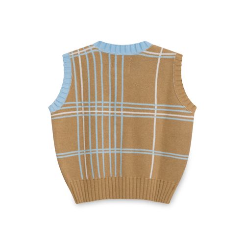 Grid Sweater Vest in Brown