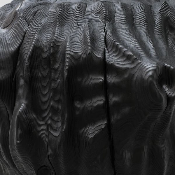 Shadow Gesture, 2026