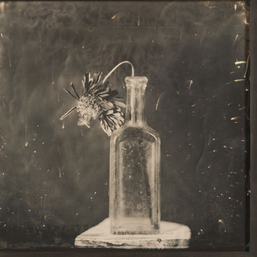 Constellation by Lara Porzak, 2024