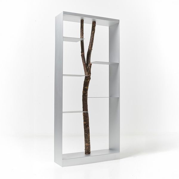 Piccolo Albero Bookcase by Andrea Branzi, 1991