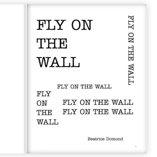 Fly on the Wall - Zine
