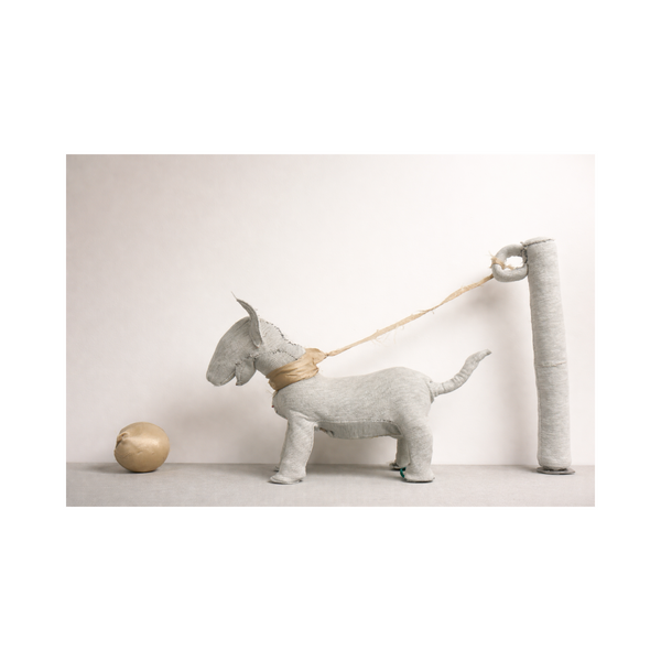 Leash, dog, ball and hill by Lucy Black