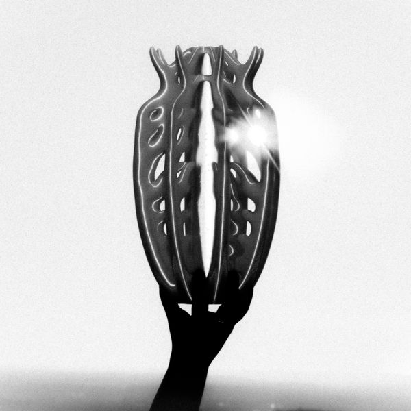 Ossuaire Vase