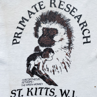 1980s Primate Research Worn Off-White Single Stitch Tee
