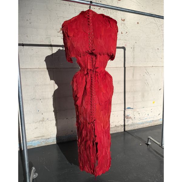 Phoenix Dress