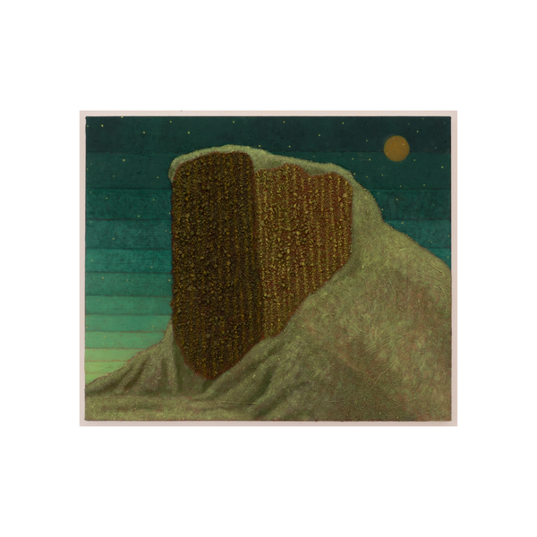 Mesa by Jonathan Ryan, 2024