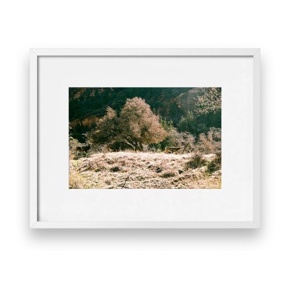 The Deer of Zion Print