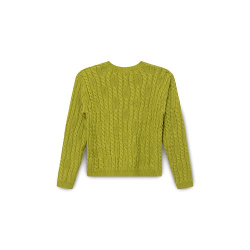 Karen Scott Knit Sweater