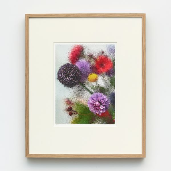 Violet Frosted Print 4