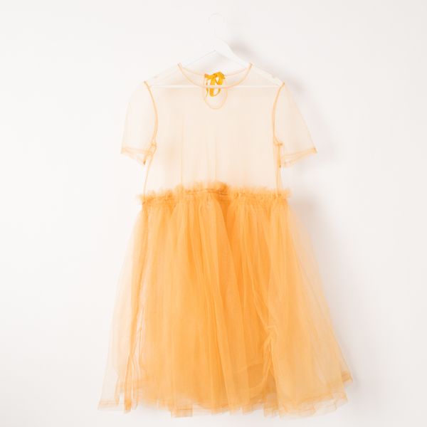 Molly Goddard Tulle Dress