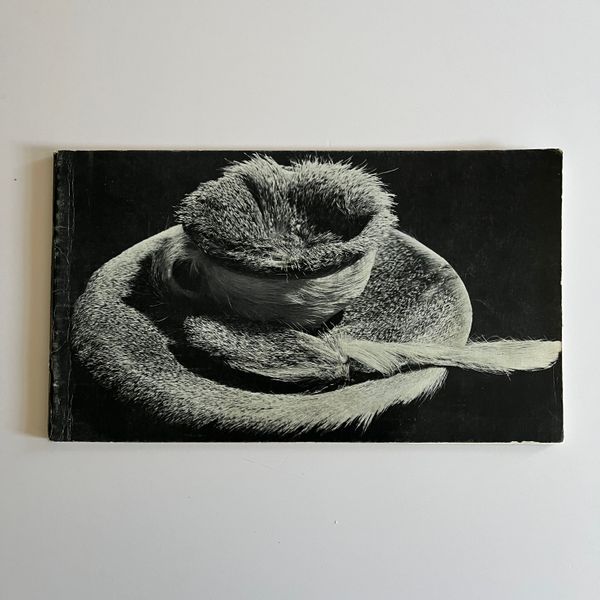 Art: A Woman’s Sensibility