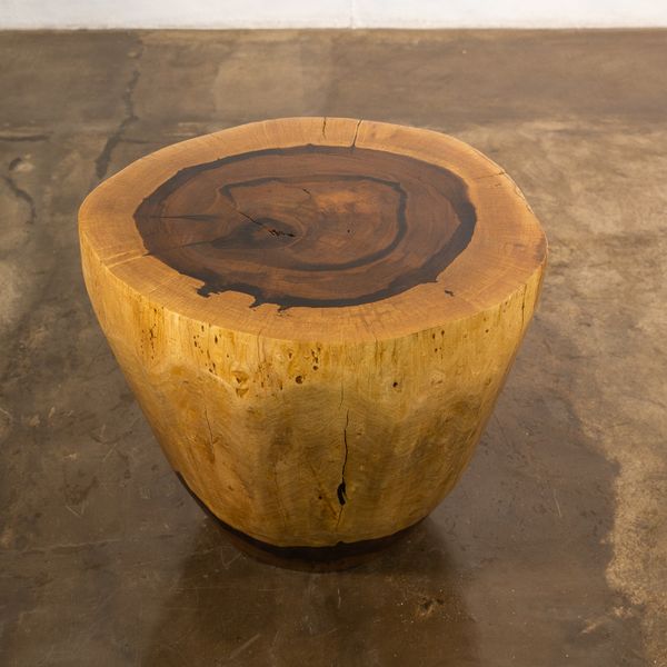 Francisco Live Edge Trunk Table ƒ 36