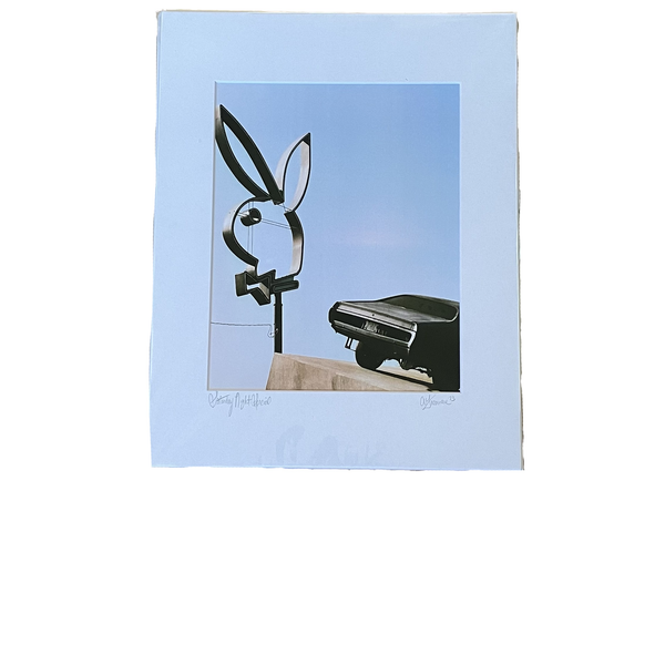 PLAYBOY PRINT