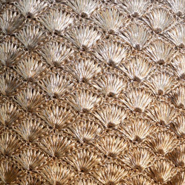 Kaia Seashell Short Strap Bag