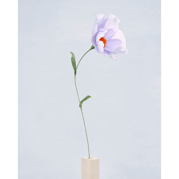 P-A vase 10