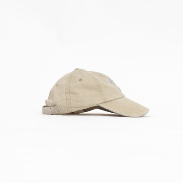Expedition In Iceland Dad Hat