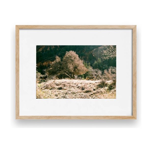 The Deer of Zion Print