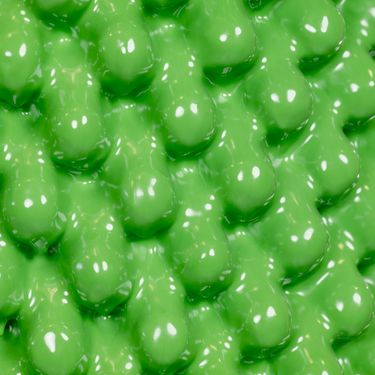 ANOTHER GREEN CACTUS®, 2018