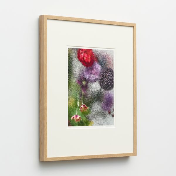 Violet Frosted Print 1